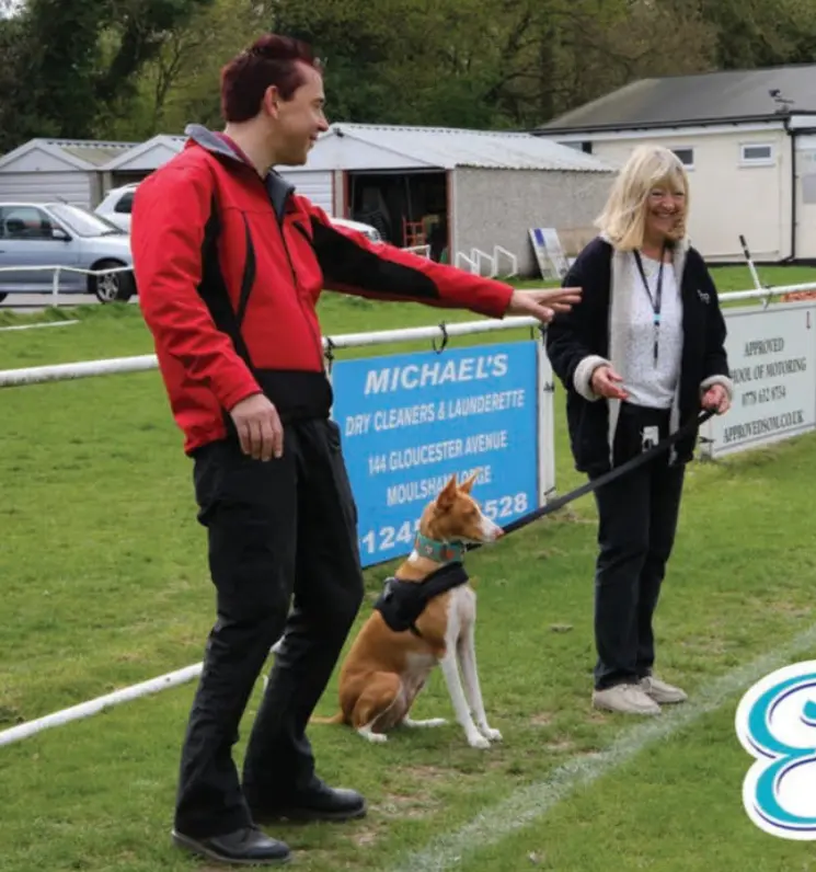 Canine Coronavirus Antigen Test4.png