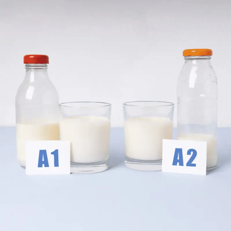 A1 A2 Milk Test Kit for Rapid Colloidal Gold Test Card for A2-β-Casein