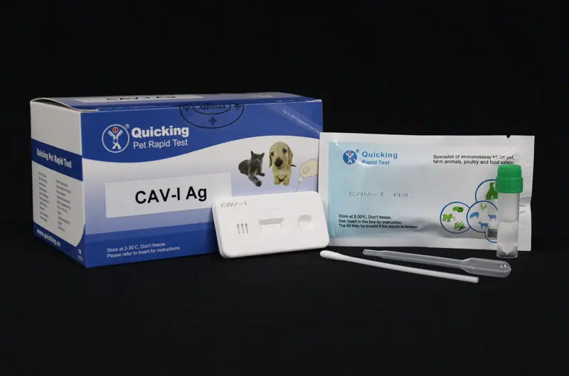 CAV-I Ag Rapid Test(W81077)