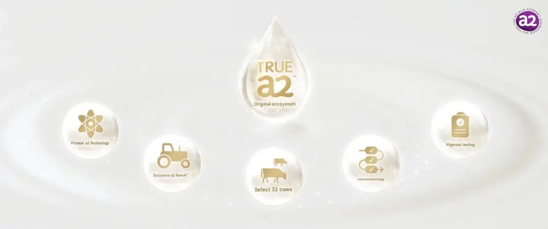 In-depth evaluation of the new national standard milk powder (3).jpg