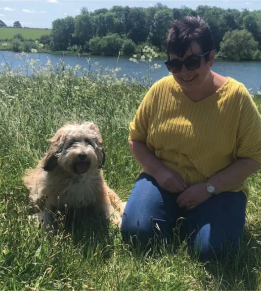 Canine Distemper Antigen Test4.png