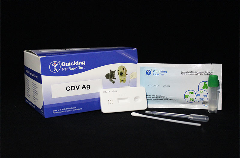 CDV Ag Rapid Test(W81005)