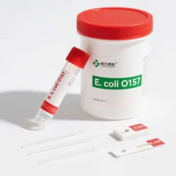 Escherichia coli O157