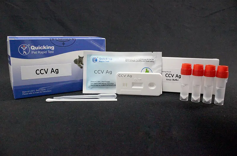 CCV Ag Rapid Test(W81007)