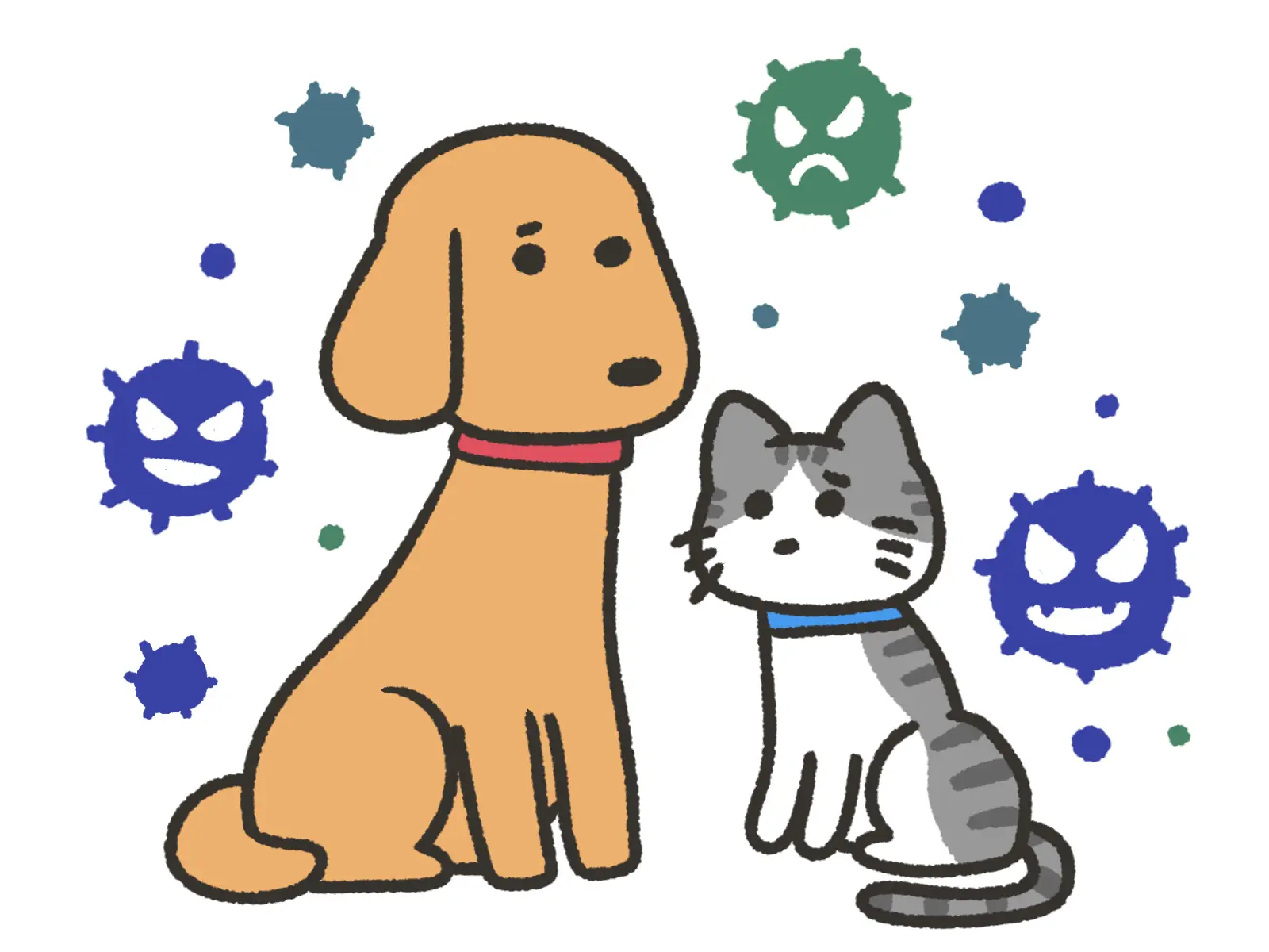 screening of common pet diseases.jpg