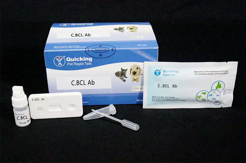 C.Brucella Ab Rapid Test(W81010 )