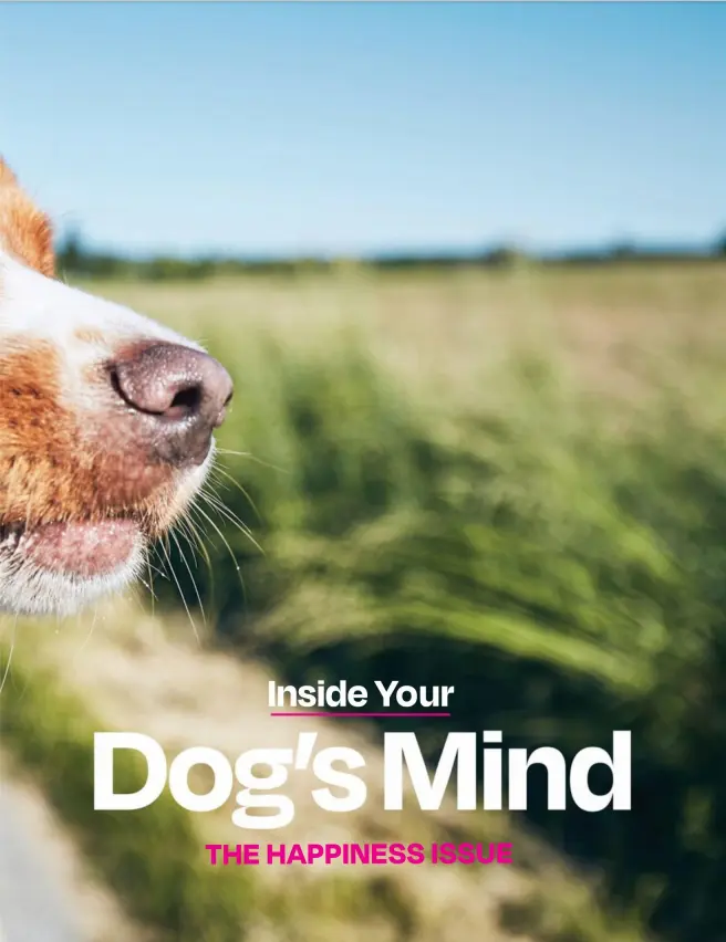 Aflatoxin B1 Mycotoxin.png