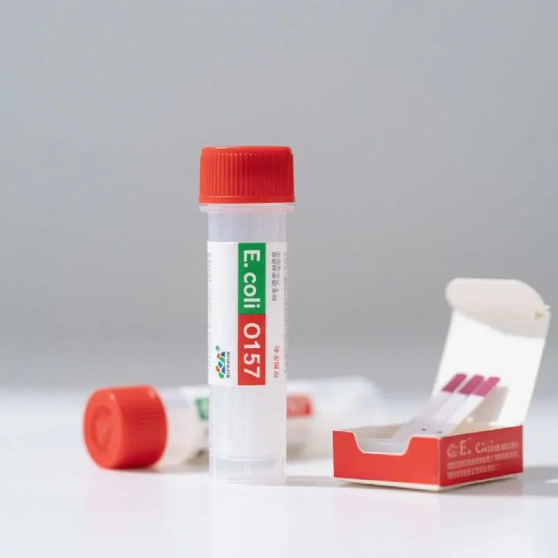 Escherichia coli O157