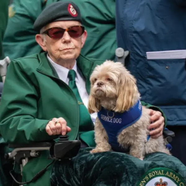 Canine Influenza Virus Antigen Test (CIV Ag)