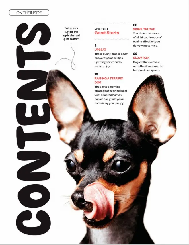 Aflatoxin B1 GrainFeed.png